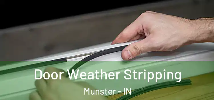 Door Weather Stripping Munster - IN