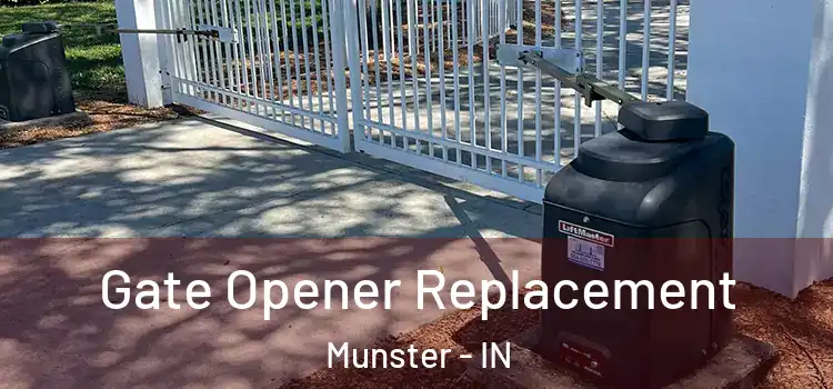 Gate Opener Replacement Munster - IN