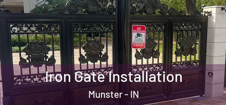 Iron Gate Installation Munster - IN