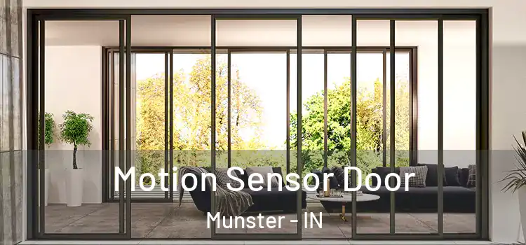 Motion Sensor Door Munster - IN