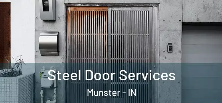 Steel Door Services Munster - IN