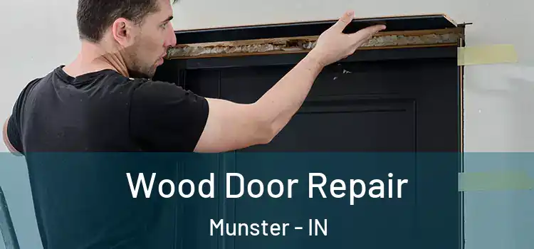 Wood Door Repair Munster - IN